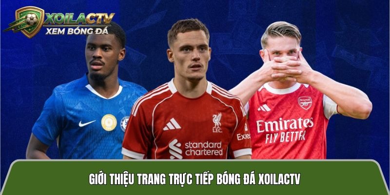 Football fans browsing live match coverage on Xoilactvv.football