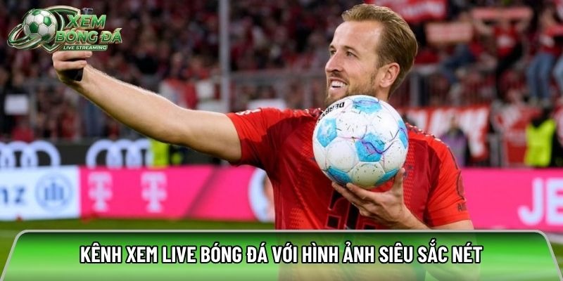 Football match schedule and streaming features on Xembongda.co.com