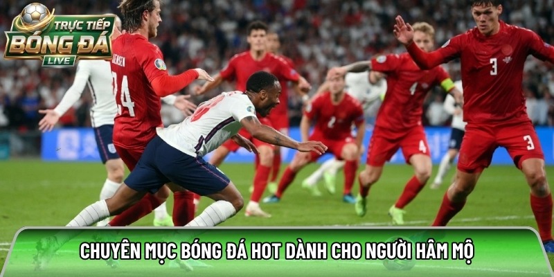 Tructiepbongda.fyi interface featuring football highlights and live match streaming