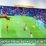 Tructiepbongda.fyi live football streaming platform displaying matches in high definition