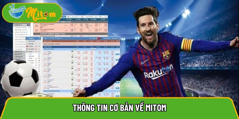 Basic Information About Mitom