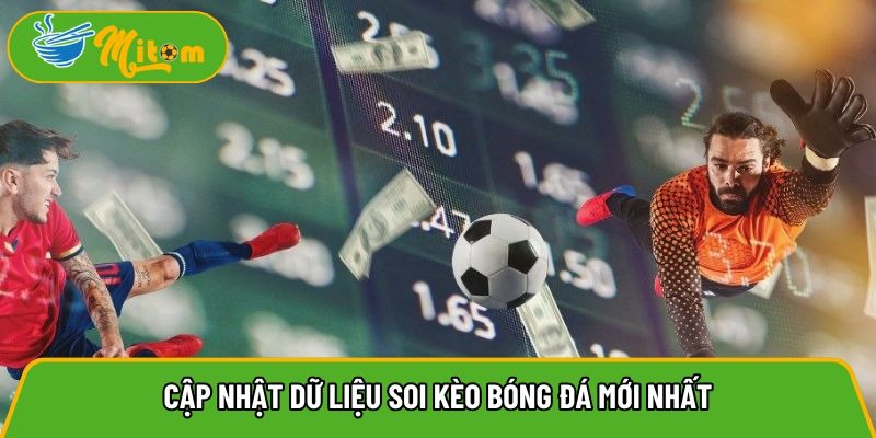 Get the latest football betting tips and data updates.

