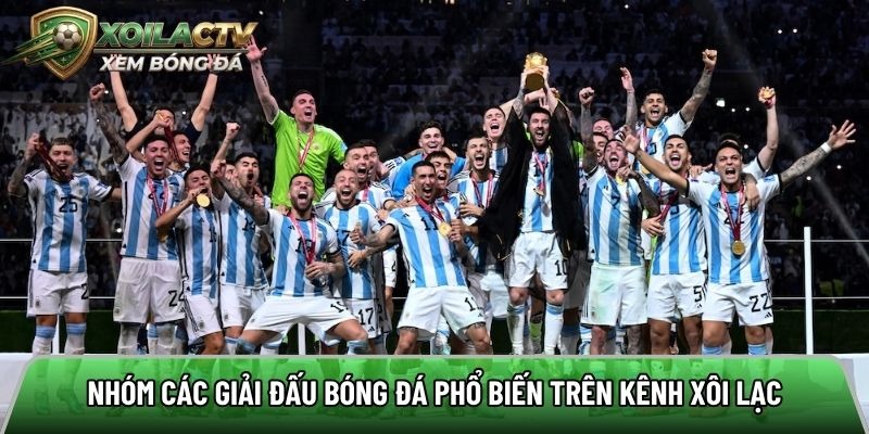 Online football streaming website featuring tournament schedules and match coverage