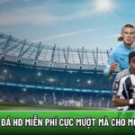 Xoilactvv football streaming platform displaying live match schedules and football tournament coverage